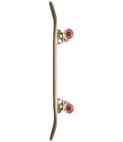 GLOBE Kids Environmentalist Micro Starfish - 6.5 10 GLOBE Kids Environmentalist Micro Starfish - 6.5 -Skateboard Kortingswinkel globe kids environmentalist micro starfish 65 3