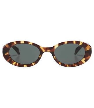 KOMONO Ana - Tortoise 3 KOMONO Ana - Tortoise