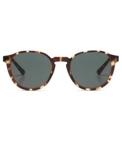 KOMONO Liam - Tortoise