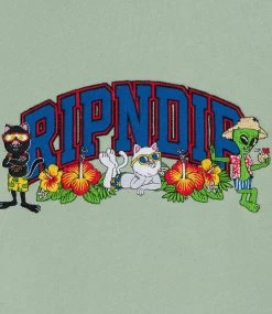 RIPNDIP Summer Friends Hoodie - Sage -Skateboard Kortingswinkel ripndip summer friends hoodie sage 2