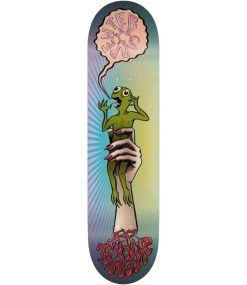 TOY MACHINE Carpenter Turtle In Hand Deck - 8.0 -Skateboard Kortingswinkel toy machine carpenter turtle in hand deck 80 1